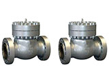 class 600~2500 pressure seal cast swing check valve