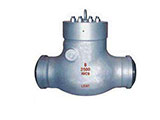 class 900~2500 pressure seal swing check valve